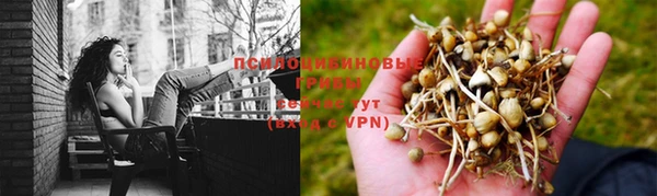 MESCALINE Волосово