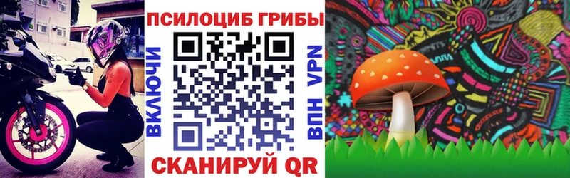 Псилоцибиновые грибы GOLDEN TEACHER  ссылка на мегу ссылка  Зверево  купить  